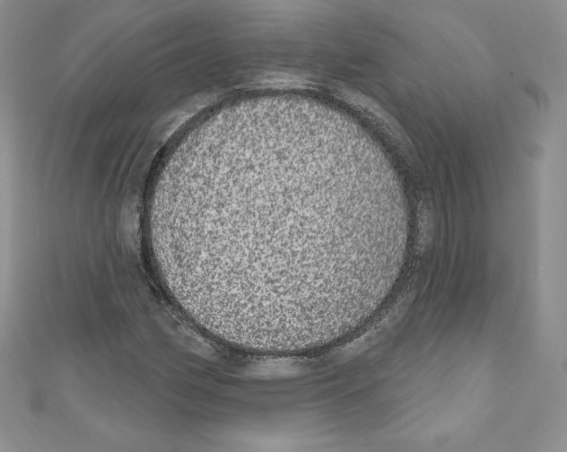 X0000110761162200907271138