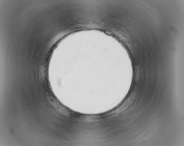 X0000110761163200907271138