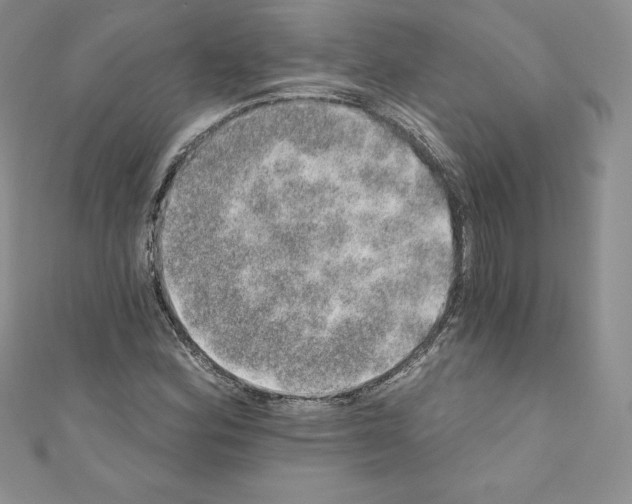 X0000110761164200907271137