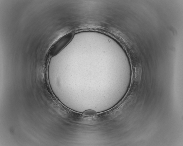 X0000110761165200907271137