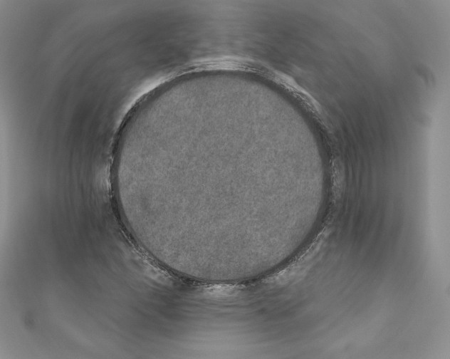 X0000110761166200907271137