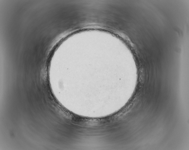 X0000110761167200907271137