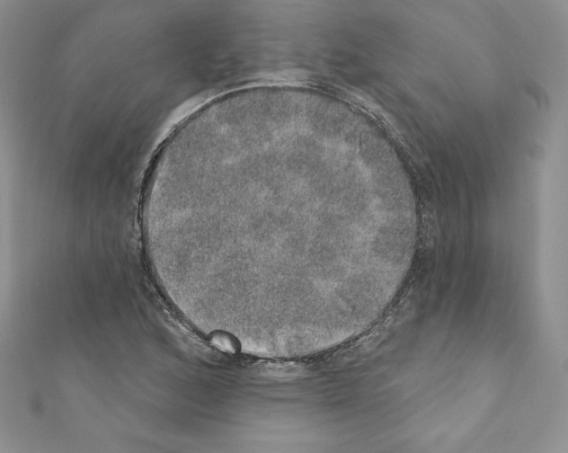 X0000110761168200907271137