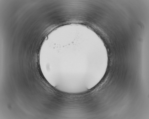 X0000110761169200907271137