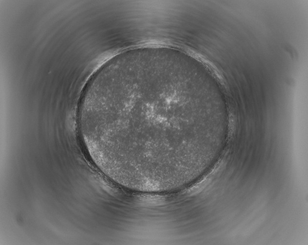 X0000110761170200907271137