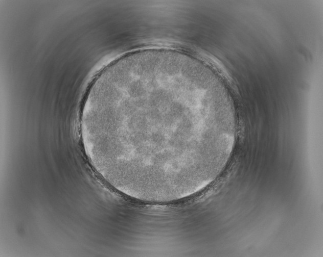 X0000110761172200907271137