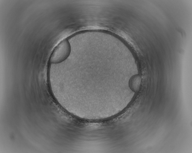 X0000110761173200907271137