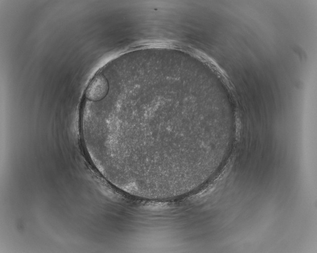 X0000110761174200907271137