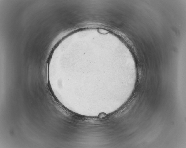 X0000110761175200907271137
