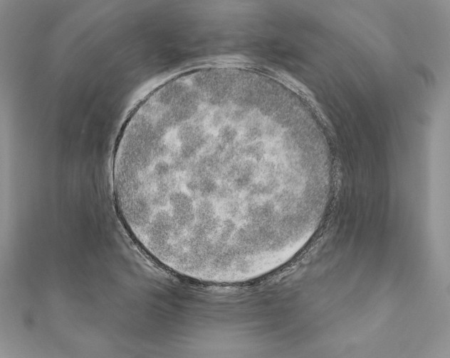 X0000110761176200907271137