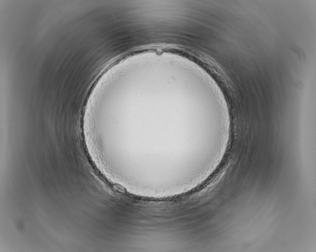 X0000110761177200907271137