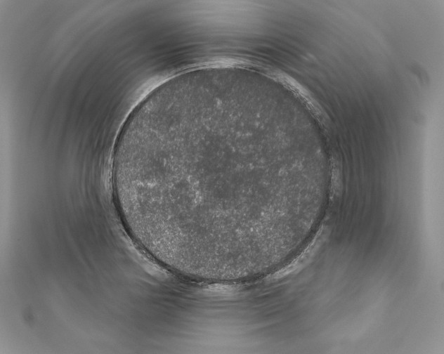 X0000110761178200907271137