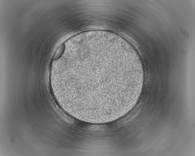 X0000110761179200907271137