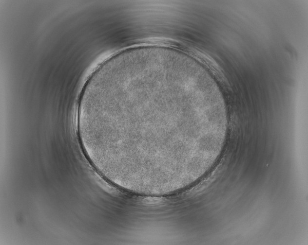 X0000110761180200907271137