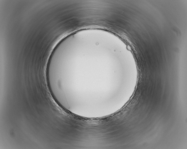 X0000110761181200907271137