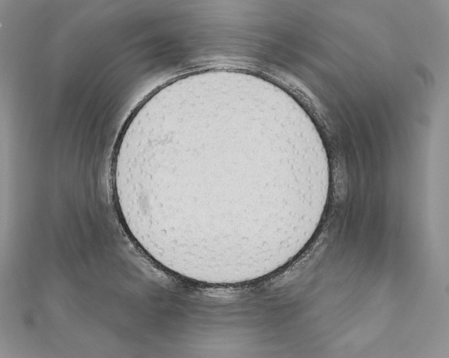 X0000110761182200907271137
