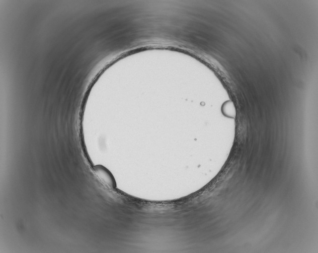 X0000110761183200907271137