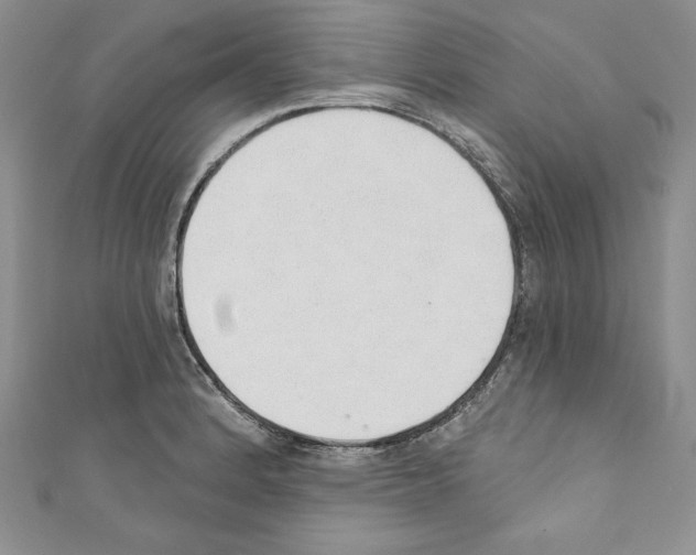 X0000110761184200907271137
