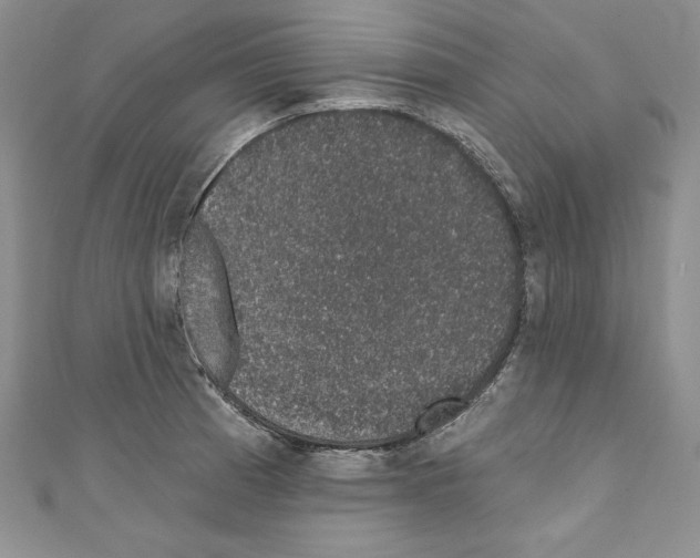 X0000110761185200907271137