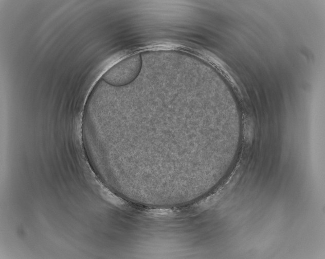 X0000110761186200907271137