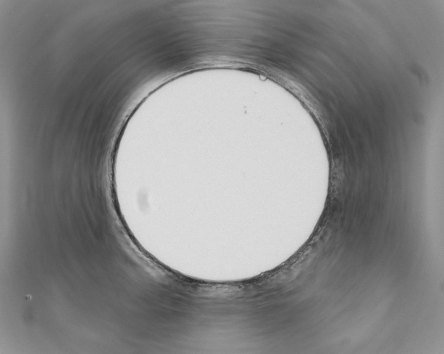 X0000110761187200907271137