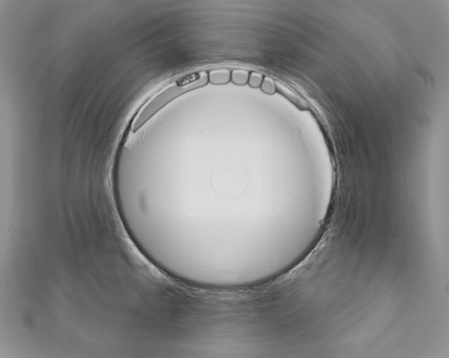 X0000110761189200907271137