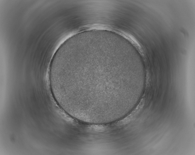 X0000110761190200907271137