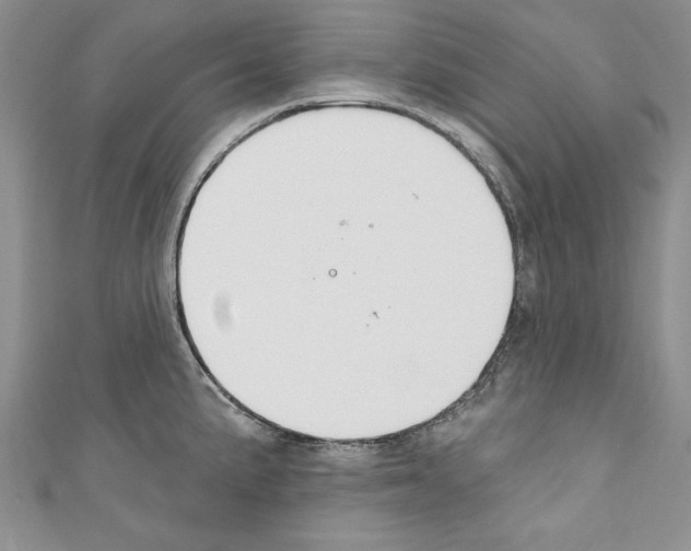 X0000110761191200907271137
