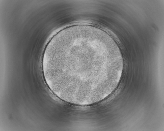 X0000110761192200907271137