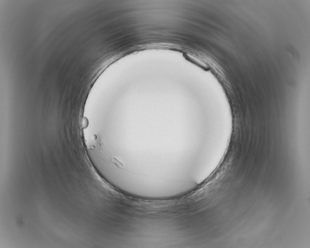 X0000110761193200907271137