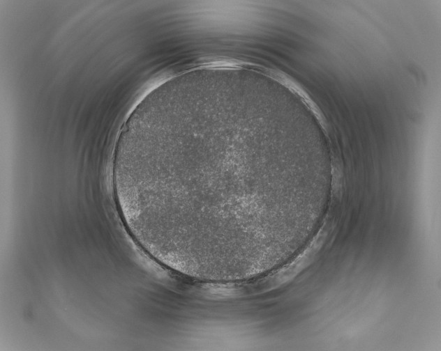 X0000110761194200907271137