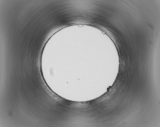 X0000110761195200907271137