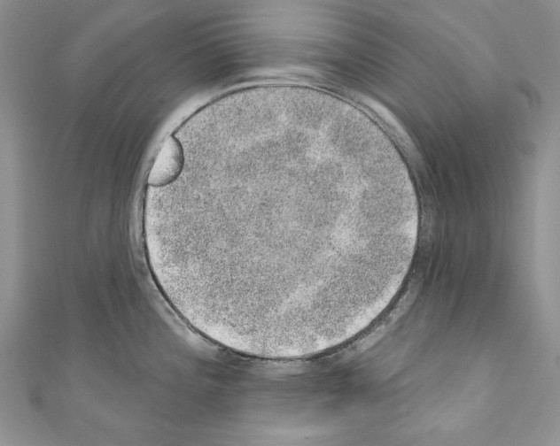 X0000110761196200907271137