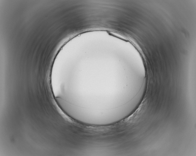 X0000110761197200907271137