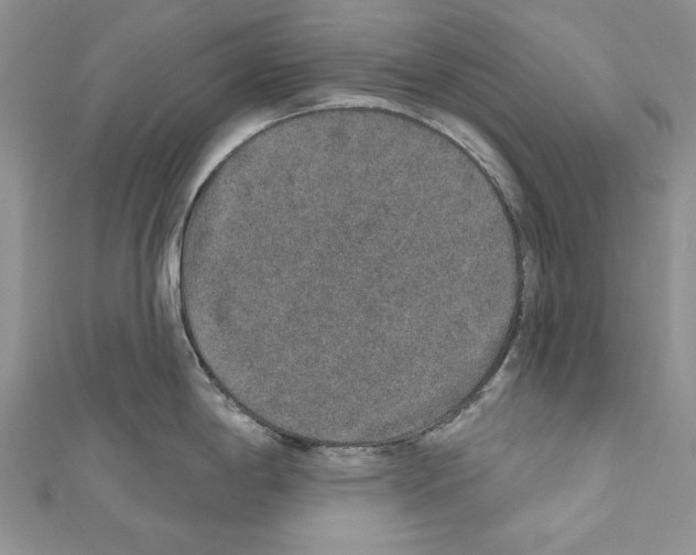 X0000110761198200907271137