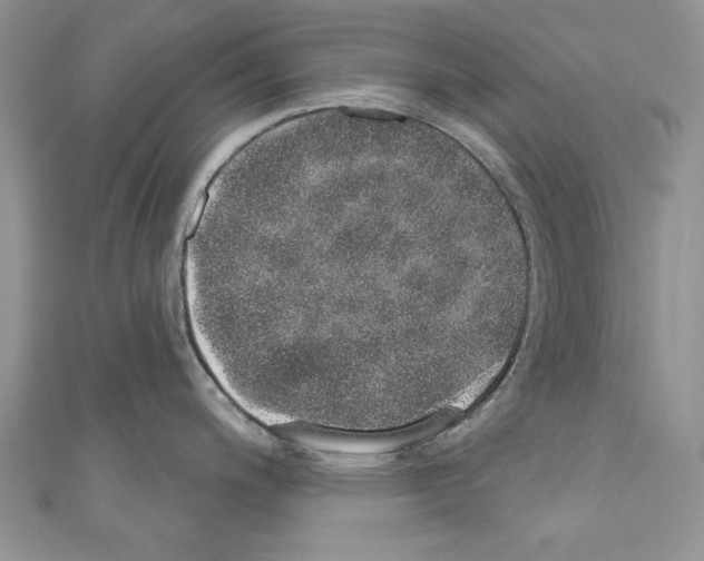 X0000110761200200907271137