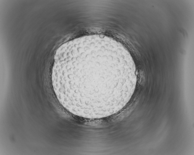 X0000110761201200907271136