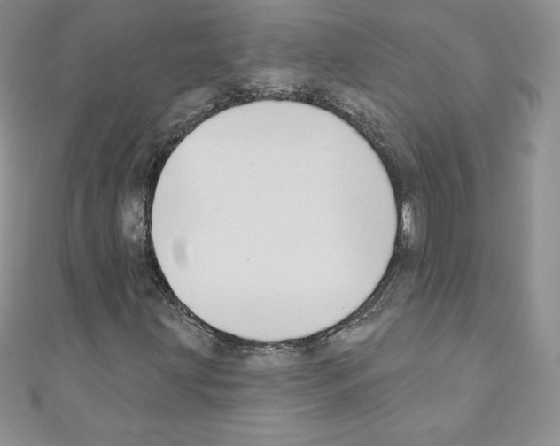 X0000110761203200907271136