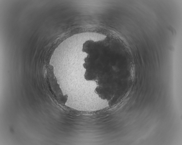 X0000110761204200907271136