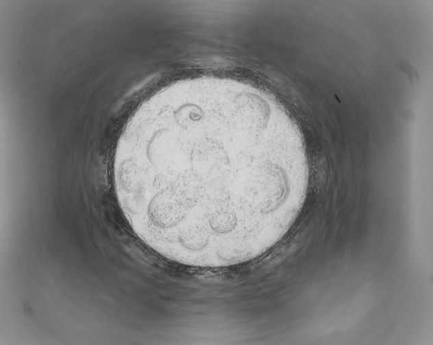 X0000110761205200907271136