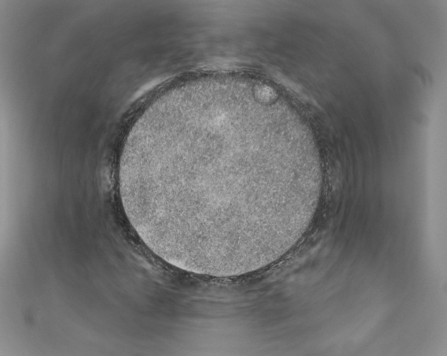 X0000110761206200907271136