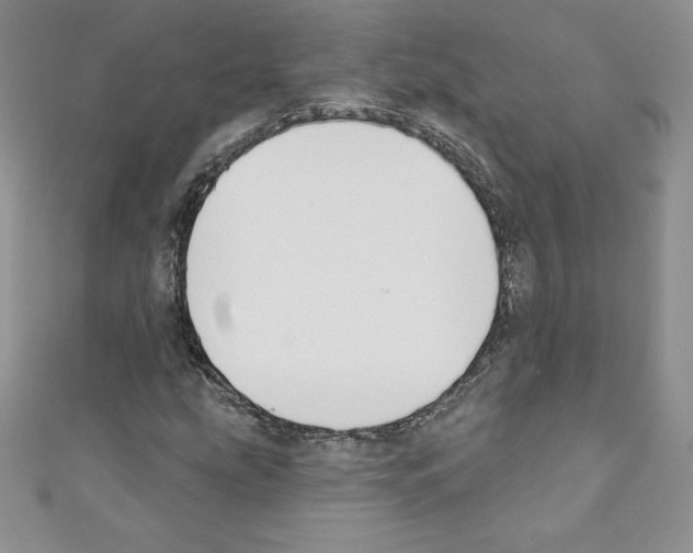 X0000110761207200907271136