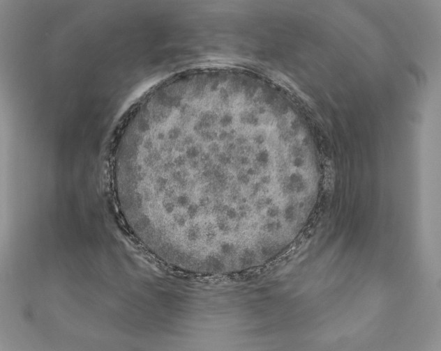 X0000110761208200907271137