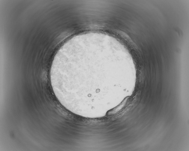 X0000110761209200907271137