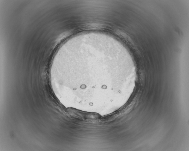 X0000110761210200907271137