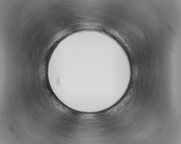X0000110761211200907271137
