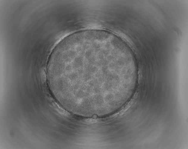 X0000110761212200907271137
