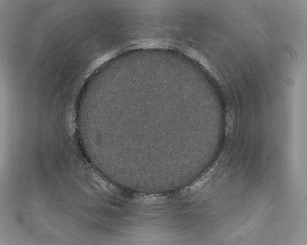 X0000110761213200907271137