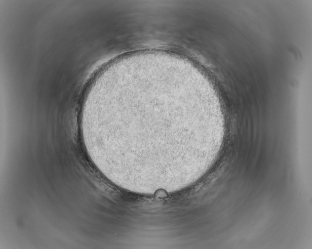 X0000110761214200907271137