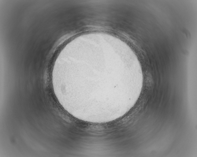 X0000110761215200907271137